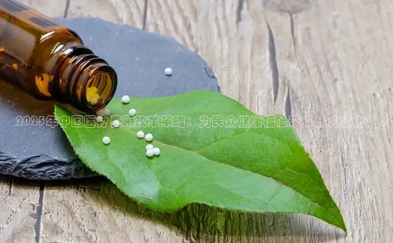 ayx中国官方网站